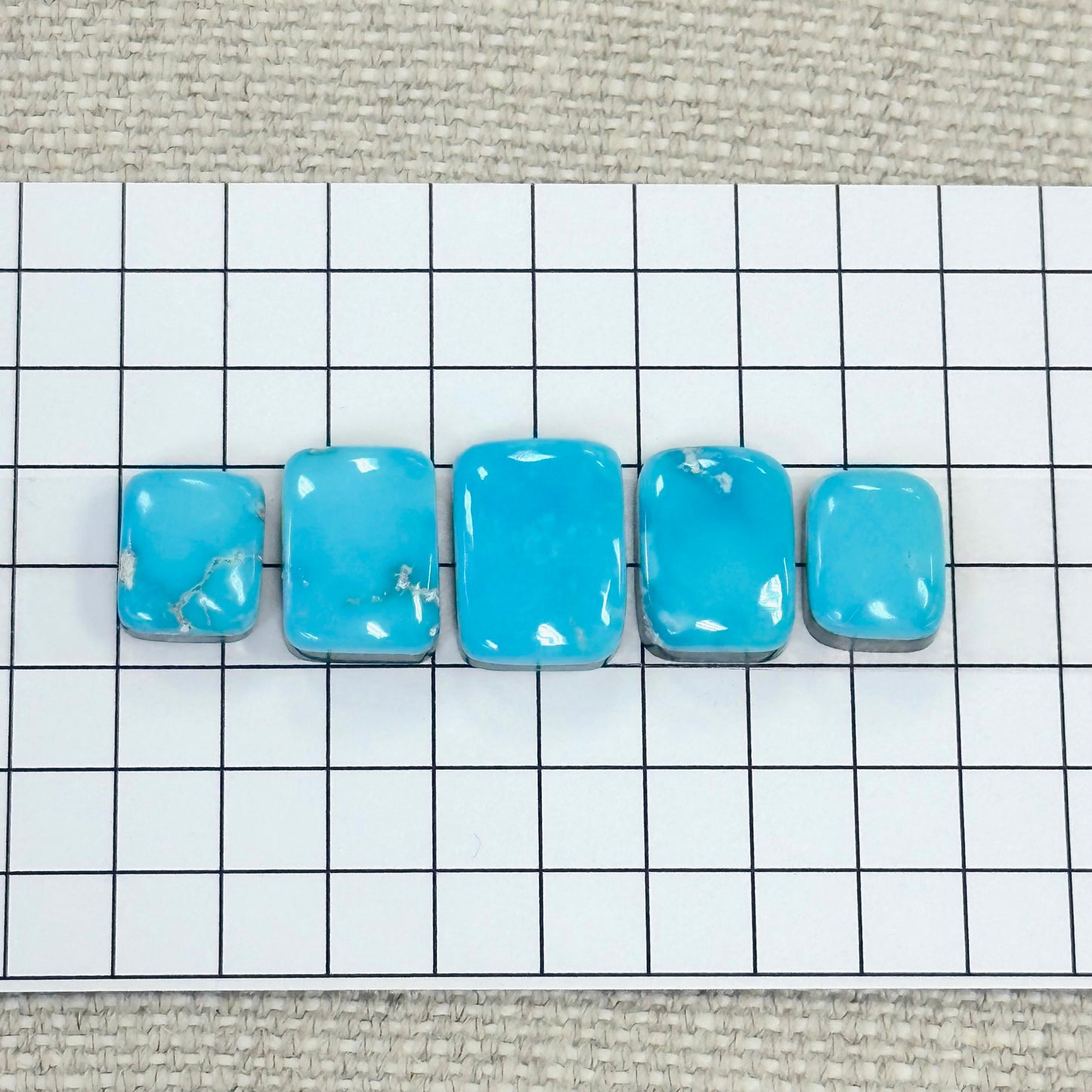 Bluebird Turquoise Cabochon Set
