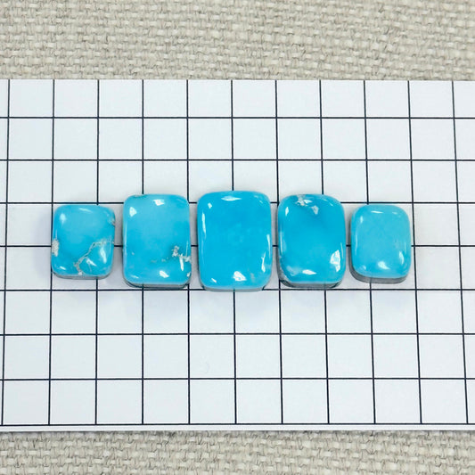 Bluebird Turquoise Cabochon Set