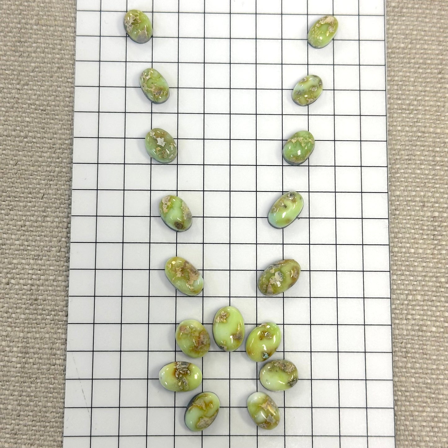 Palomino Cabochon Set