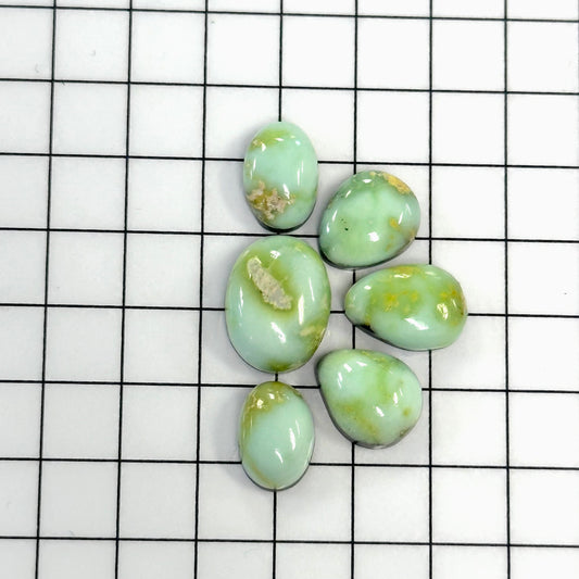 Palomino Cabochon Set
