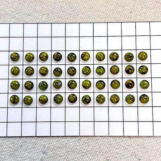 Sonoran Gold Turquoise 4mm Round Calibrated Cabochon Set - 40 Pieces
